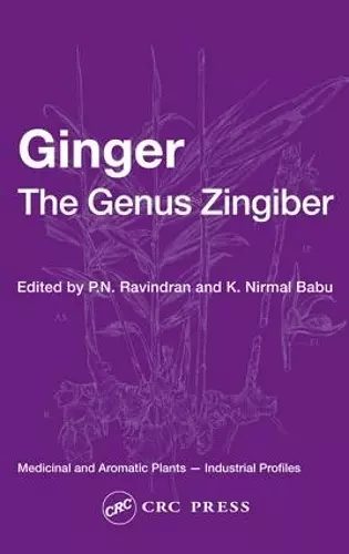 Ginger cover