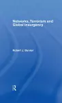 Networks, Terrorism and Global Insurgency cover