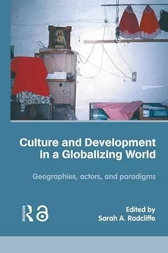 Culture and Development in a Globalizing World cover