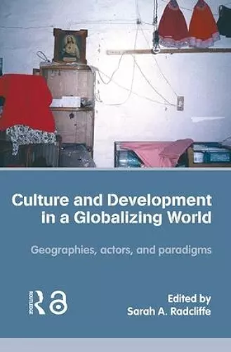 Culture and Development in a Globalizing World cover