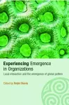 Experiencing Emergence in Organizations cover