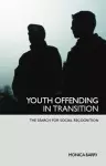 Youth Offending in Transition cover