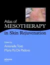 Atlas of Mesotherapy in Skin Rejuvenation cover