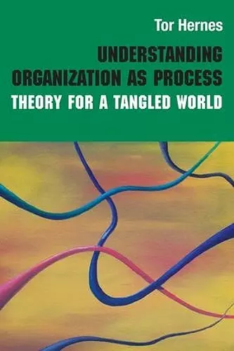 Understanding Organization as Process cover