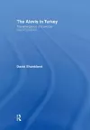 The Alevis in Turkey cover