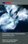 International Actors, Democratization and the Rule of Law cover