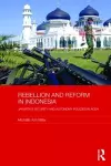 Rebellion and Reform in Indonesia cover