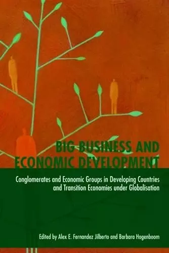 Big Business and Economic Development cover