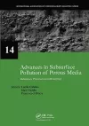 Advances in Subsurface Pollution of Porous Media - Indicators, Processes and Modelling cover