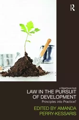 Law in the Pursuit of Development cover