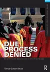 Due Process Denied: Detentions and Deportations in the United States cover