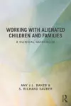 Working With Alienated Children and Families cover