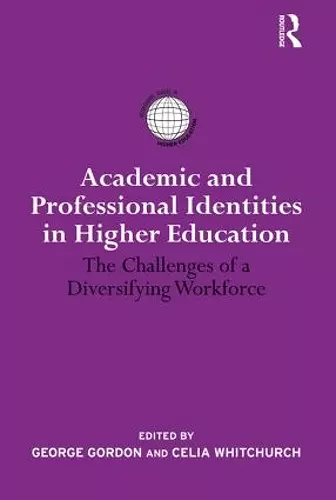 Academic and Professional Identities in Higher Education cover