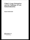 China's Large Enterprises and the Challenge of Late Industrialisation cover