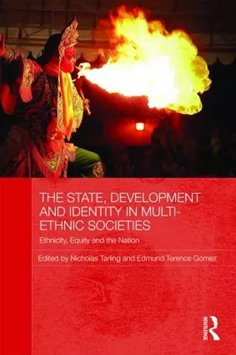 The State, Development and Identity in Multi-Ethnic Societies cover