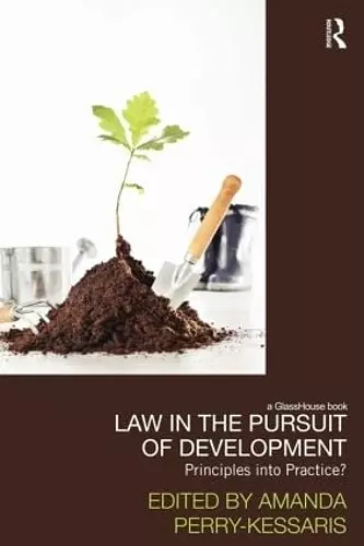 Law in the Pursuit of Development cover