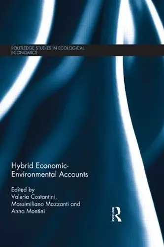 Hybrid Economic-Environmental Accounts cover