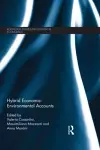 Hybrid Economic-Environmental Accounts cover