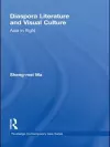 Diaspora Literature and Visual Culture cover