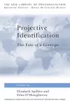 Projective Identification cover