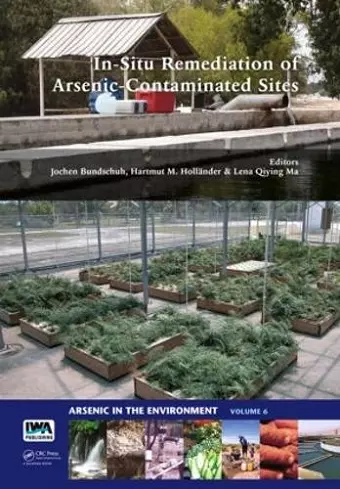 In-Situ Remediation of Arsenic-Contaminated Sites cover