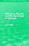 Efficiency, Equality and the Ownership of Property (Routledge Revivals) cover