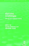 Feminist Challenges cover