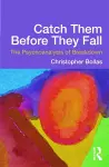 Catch Them Before They Fall: The Psychoanalysis of Breakdown cover