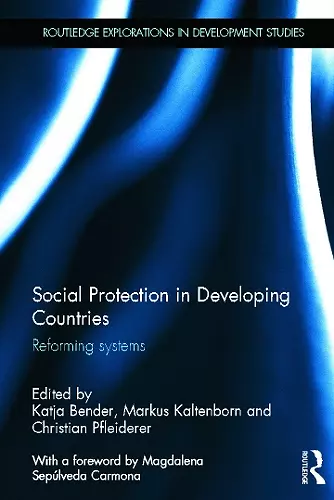 Social Protection in Developing Countries cover