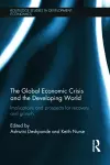 The Global Economic Crisis and the Developing World cover