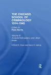 THE CHICAGO SCHOOL CRIMINOLOGY Volume 6 cover