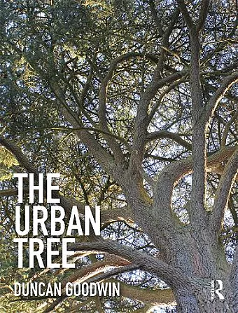 The Urban Tree cover