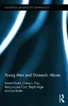 Young Men and Domestic Abuse cover