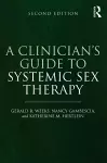 A Clinician's Guide to Systemic Sex Therapy cover