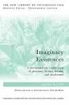 Imaginary Existences cover