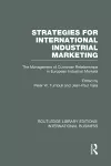 Strategies for International Industrial Marketing (RLE International Business) cover