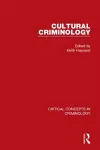 Cultural Criminology cover