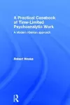 A Practical Casebook of Time-Limited Psychoanalytic Work cover