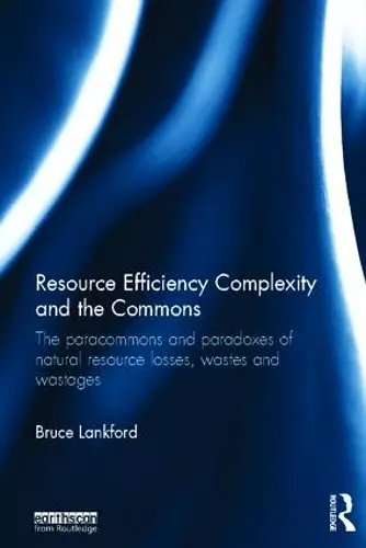 Resource Efficiency Complexity and the Commons cover