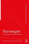 Norwegian: A Comprehensive Grammar cover