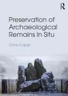 Preservation of Archaeological Remains In Situ cover