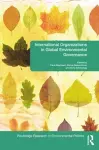 International Organizations in Global Environmental Governance cover