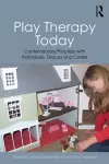 Play Therapy Today cover