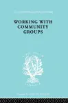 Working Comm Groups Ils 198 cover