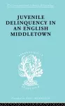 Juvenile Delinquency in an English Middle Town cover