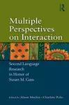 Multiple Perspectives on Interaction cover