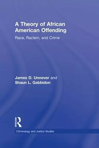 A Theory of African American Offending cover