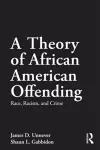 A Theory of African American Offending cover