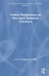 Critical Perspectives on Afro-Latin American Literature cover