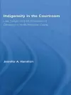 Indigeneity in the Courtroom cover